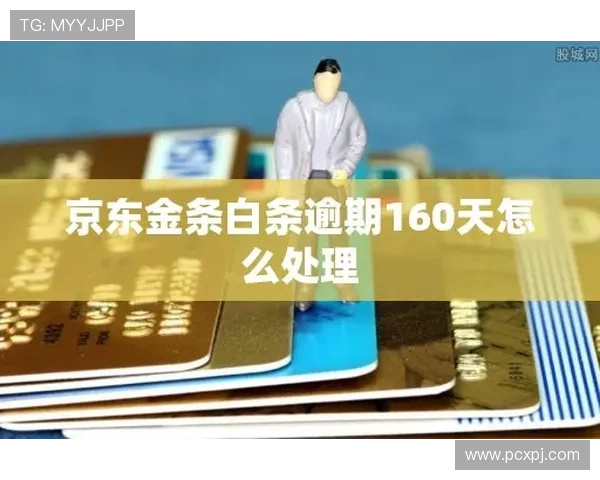 上葡京是否属于澳博旗下,用户关心的归属关系与行业动态解答